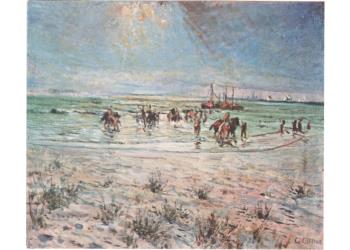 Cavalli sulla spiaggia Cavalli sulla spiaggia